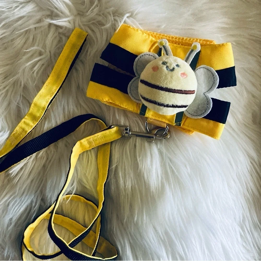 Bundle of Small Dog/Cat Harnesses & Collars